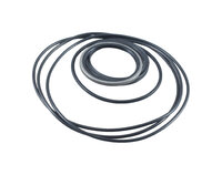 EPM-T - Spare seal kit for EPM motor