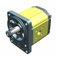 Gear pumps of the XV-2P-2 series with 80mm Bosch dimensions 1:5 taper shaft