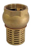 MSTIX - Brass check valve