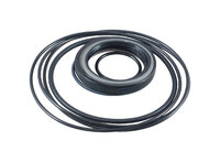 EPMSY-T - Spare seal kit for EPMSY motor