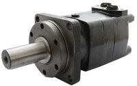 EPMT - Orbital motor (OMT) with straight 40mm shaft