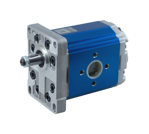 XV-3P - Italian group 3 gear pump with flanged ports